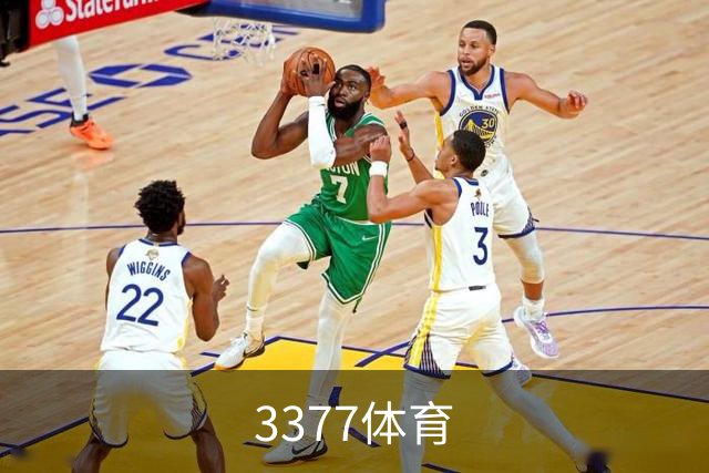 3377体育公司简介展示图